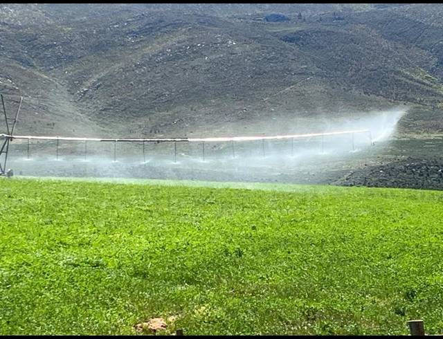 FARM FOR SALE IN GEORGE RURAL